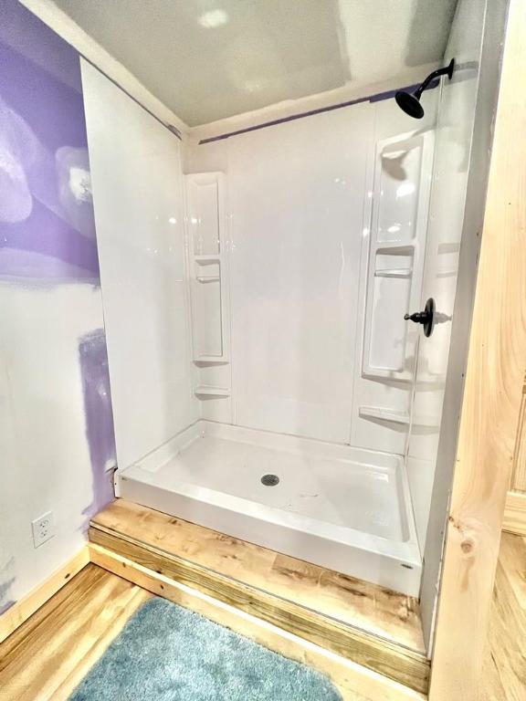 bathroom with hardwood / wood-style flooring and walk in shower