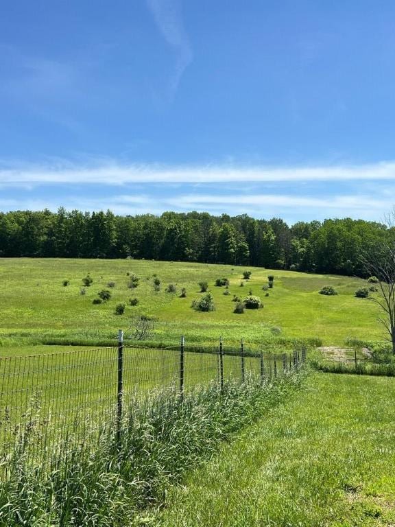 view of yard featuring a rural view