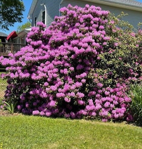 view of side of home with a lawn