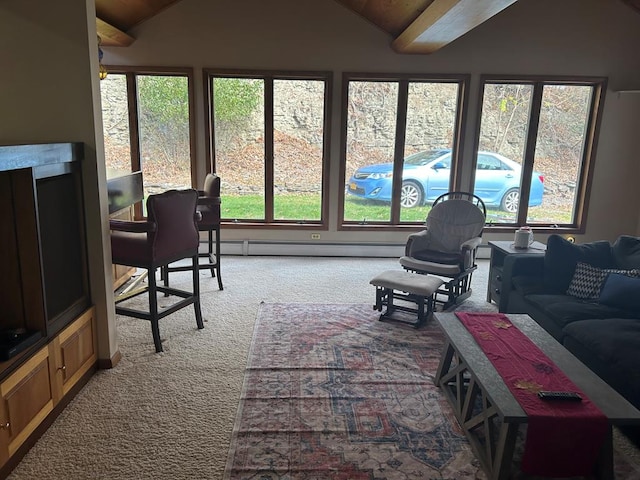 interior space with vaulted ceiling and a baseboard heating unit