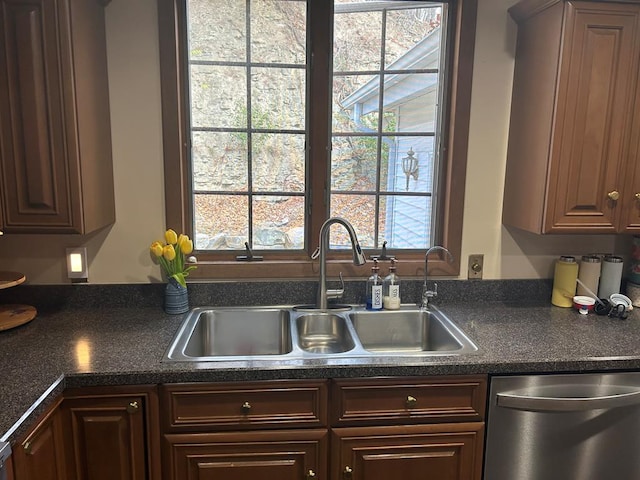 kitchen featuring stainless steel dishwasher, dark brown cabinetry, and sink