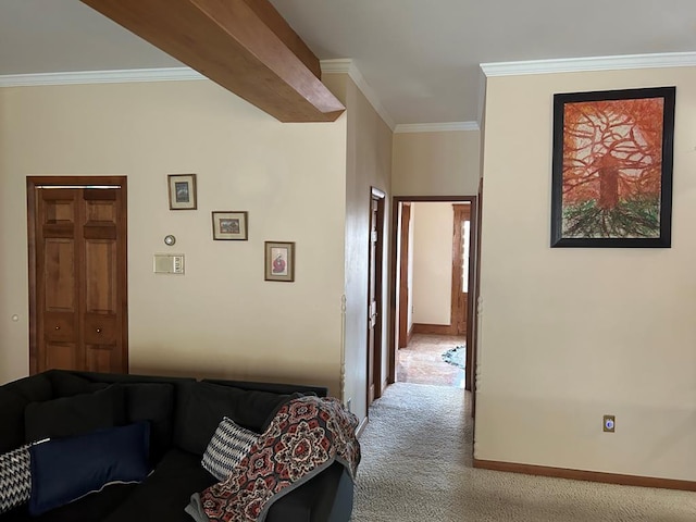 hallway featuring crown molding and carpet