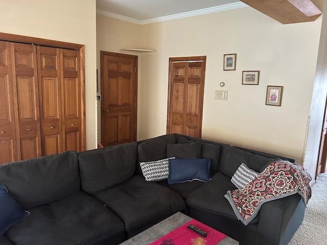 living room with ornamental molding and carpet floors