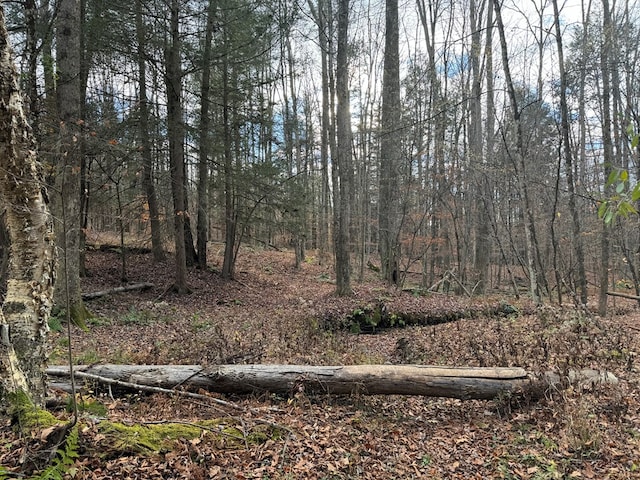 0 Barnes Hill Rd, Van Etten, NY 14889 - photo 4