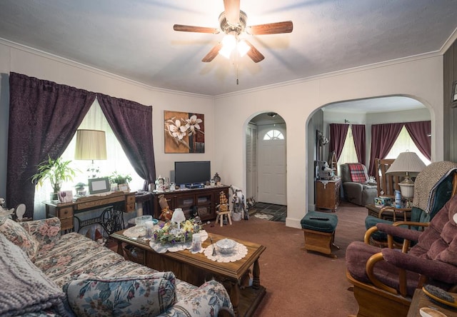 living room featuring crown molding, plenty of natural light, ceiling fan, and carpet flooring