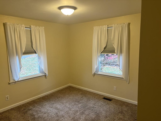 empty room with carpet and a wealth of natural light