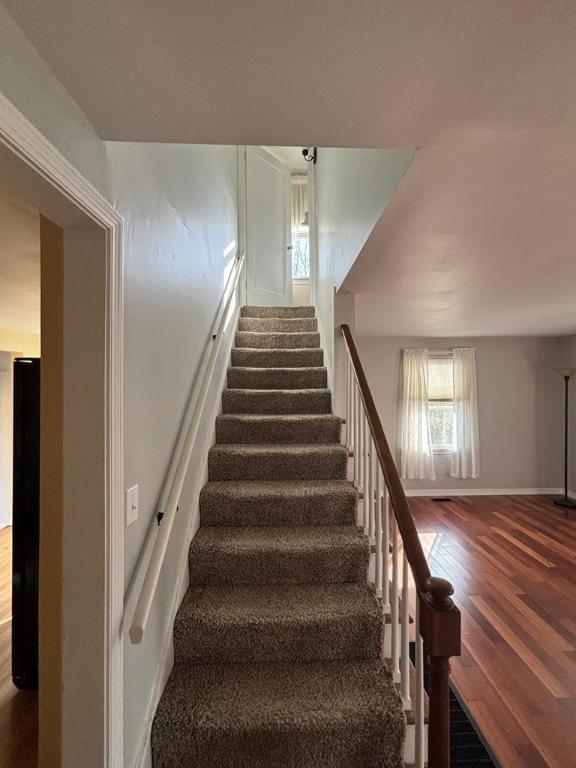 staircase featuring hardwood / wood-style floors