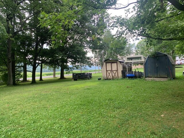 view of yard with a shed