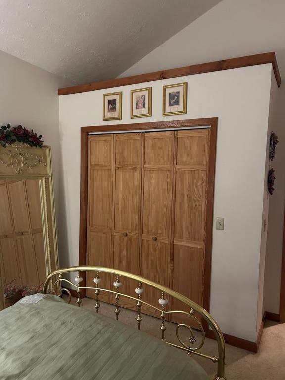 unfurnished bedroom featuring lofted ceiling and light colored carpet