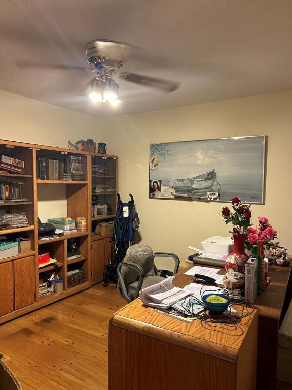 office area featuring light hardwood / wood-style flooring and ceiling fan