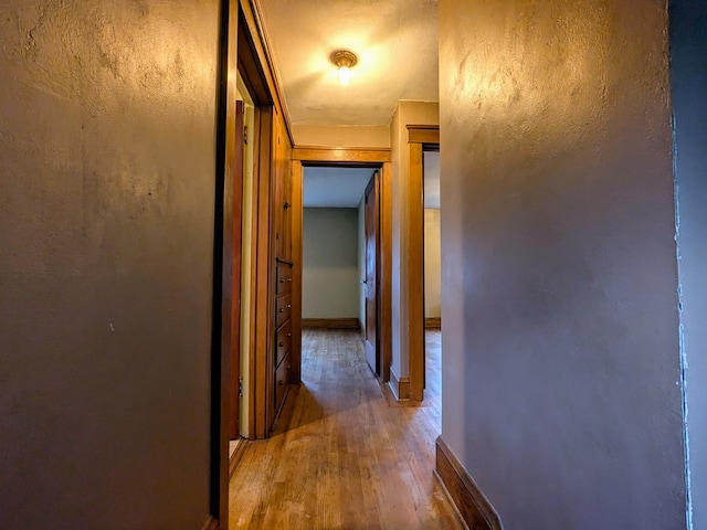 corridor with wood-type flooring