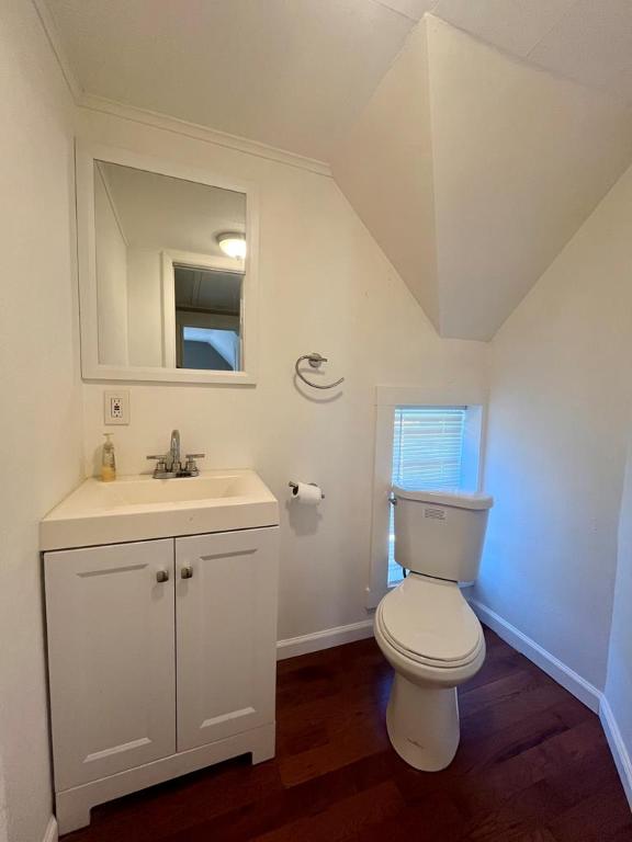 bathroom with vanity, hardwood / wood-style floors, lofted ceiling, and toilet