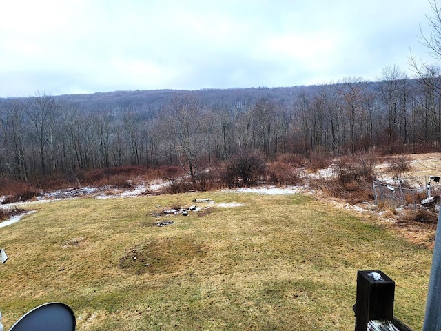 441 Murphy Hill Rd, Catlin, NY 14845 - view of yard