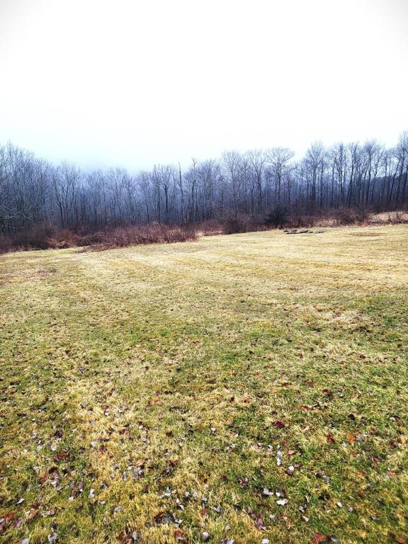 view of yard featuring a rural view