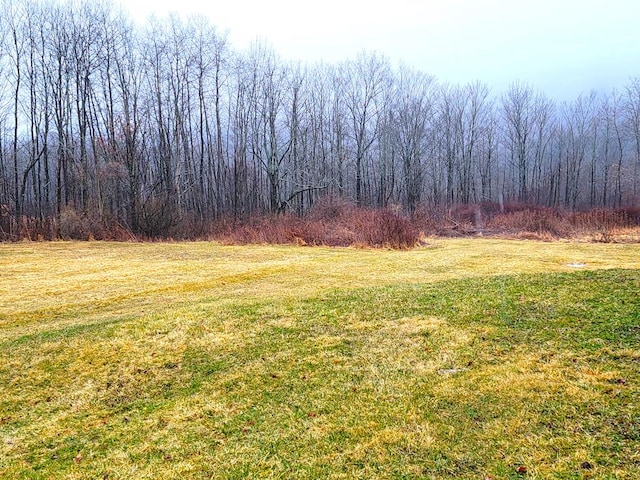 441 Murphy Hill Rd, Catlin, NY 14845 - view of yard