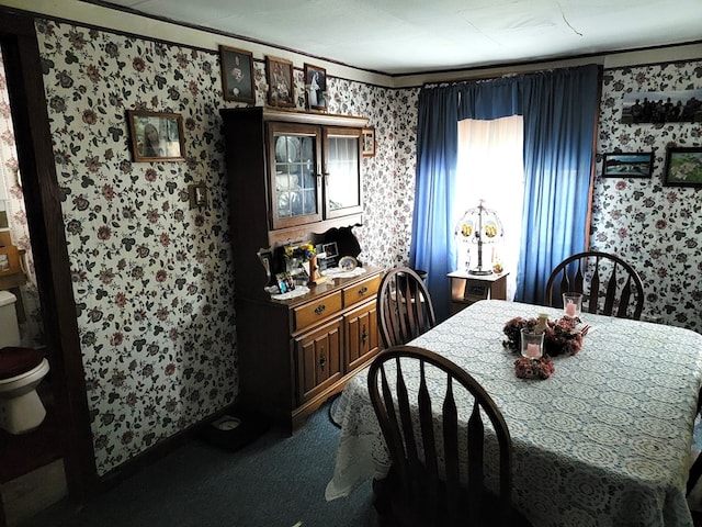 441 Murphy Hill Rd, Catlin, NY 14845 - dining room with carpet