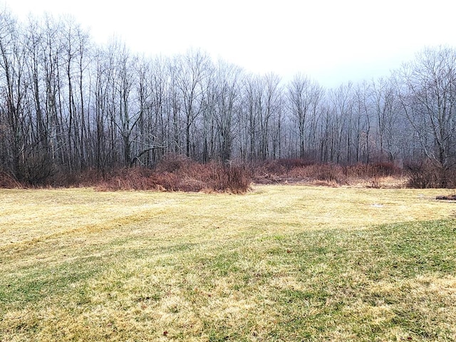 441 Murphy Hill Rd, Catlin, NY 14845 - view of yard