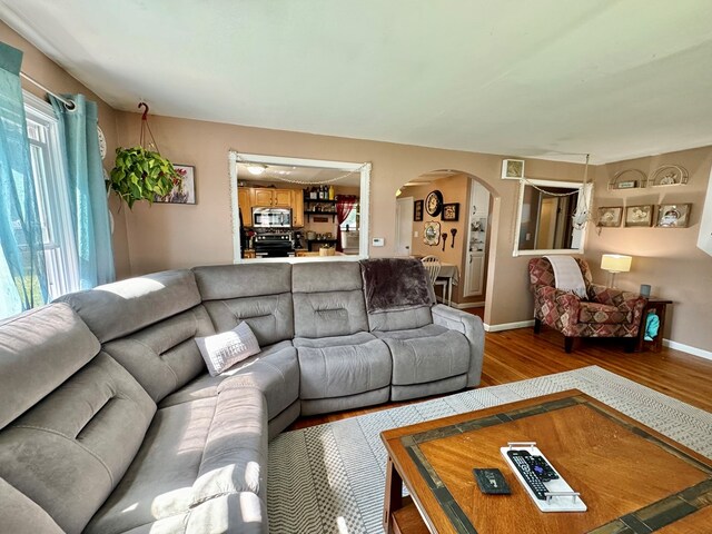 living room featuring wood-type flooring