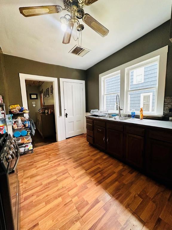 kitchen with ceiling fan, sink, dark brown cabinets, and light hardwood / wood-style flooring