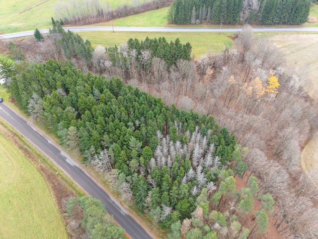 drone / aerial view featuring a rural view