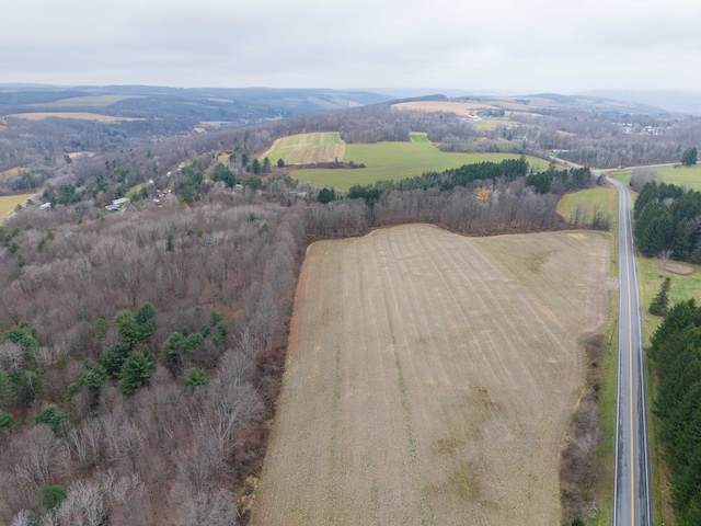 drone / aerial view featuring a rural view