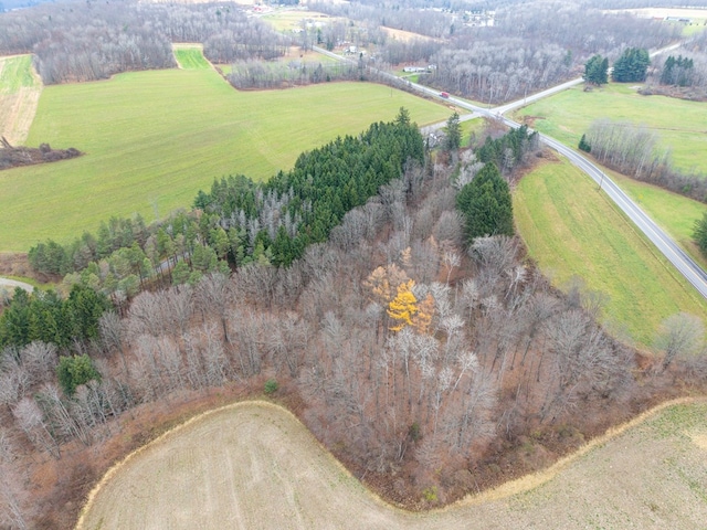 birds eye view of property featuring a rural view