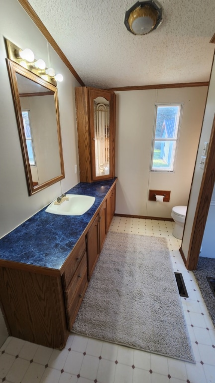 bathroom with vaulted ceiling, vanity, toilet, crown molding, and a textured ceiling