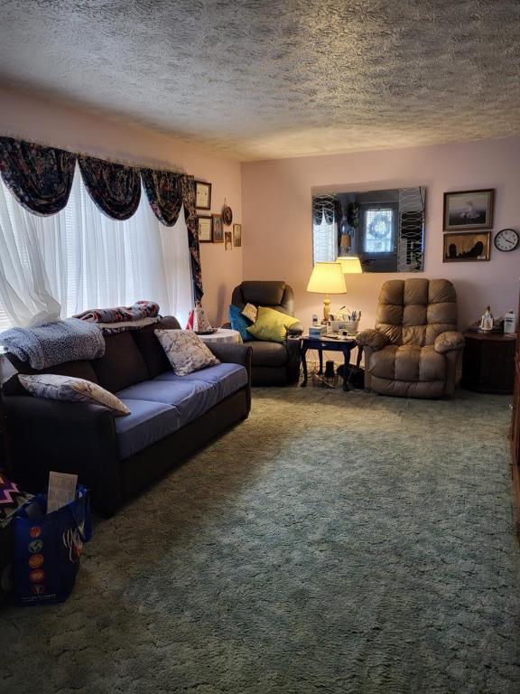 carpeted living room featuring a textured ceiling