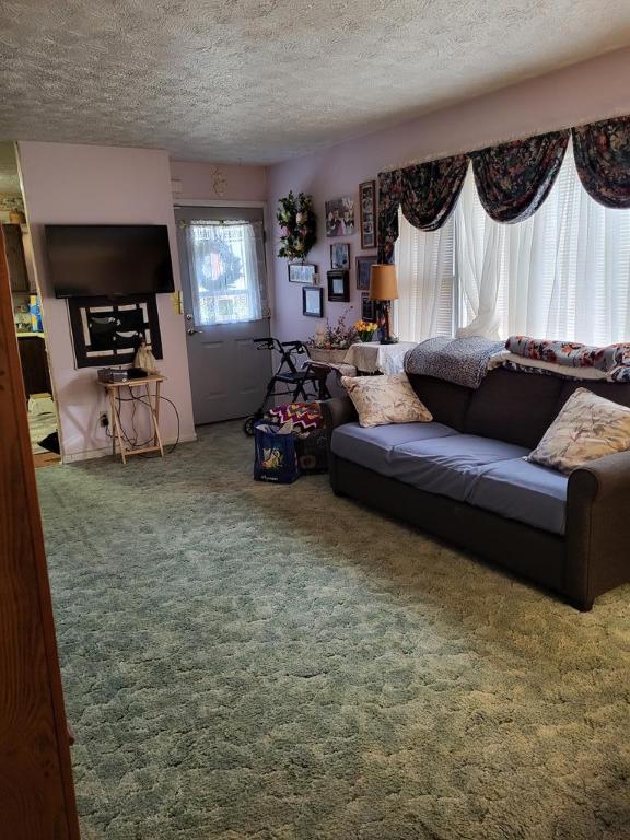 carpeted living room featuring a textured ceiling