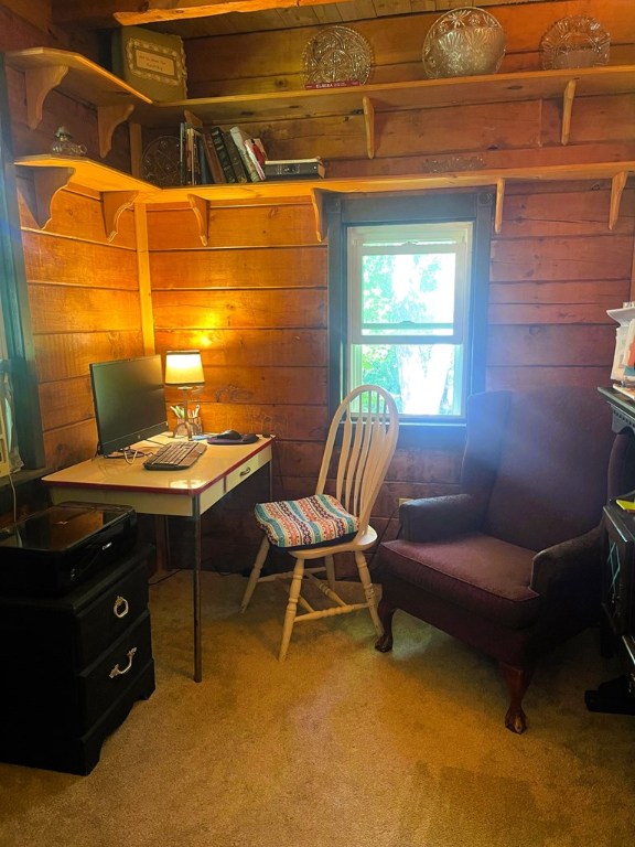 carpeted office space featuring wood walls