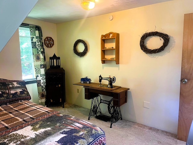 view of carpeted bedroom