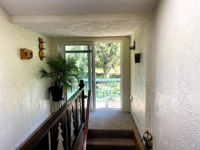 interior space with carpet and a textured ceiling