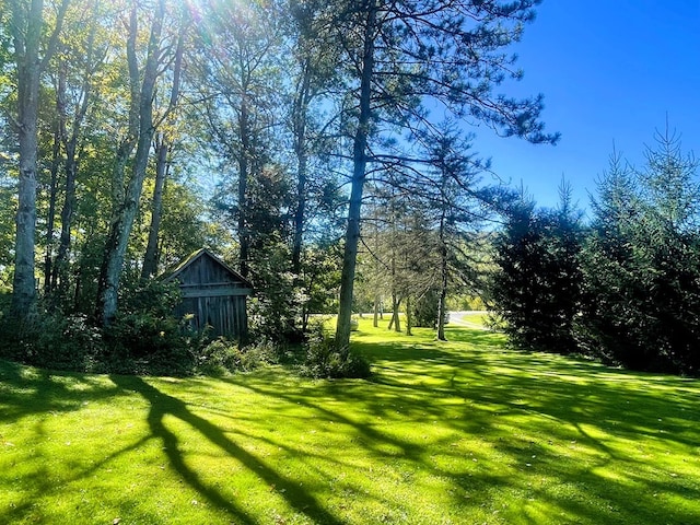 view of yard with an outdoor structure