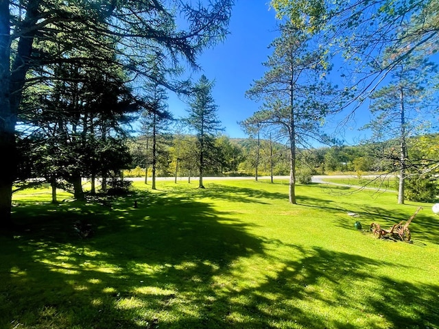 view of home's community featuring a lawn