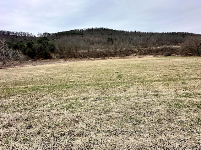 1837 Pennsylvania Ave, Southport, NY 14871 - photo 10