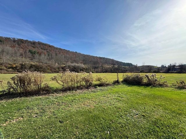 1837 Pennsylvania Ave, Southport, NY 14871 - photo 4