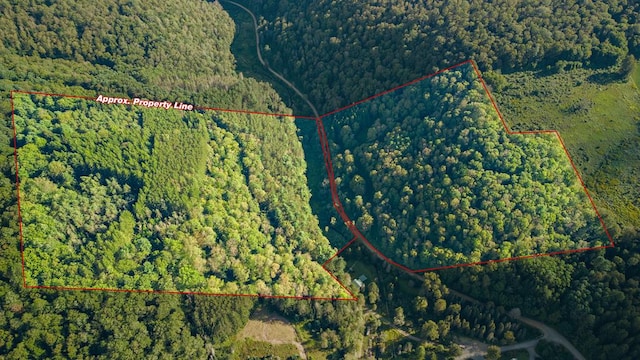 0 Rausch Rd, PA, 16922 land for sale