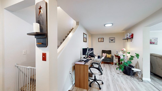 office featuring wood-type flooring