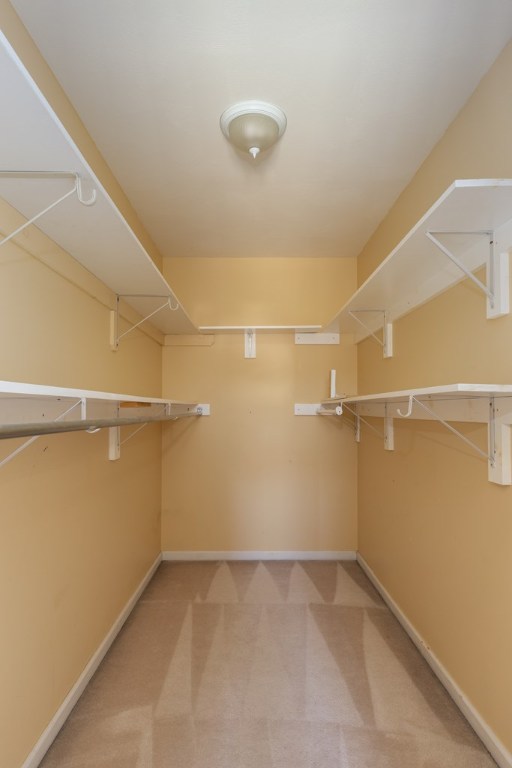 spacious closet featuring carpet flooring