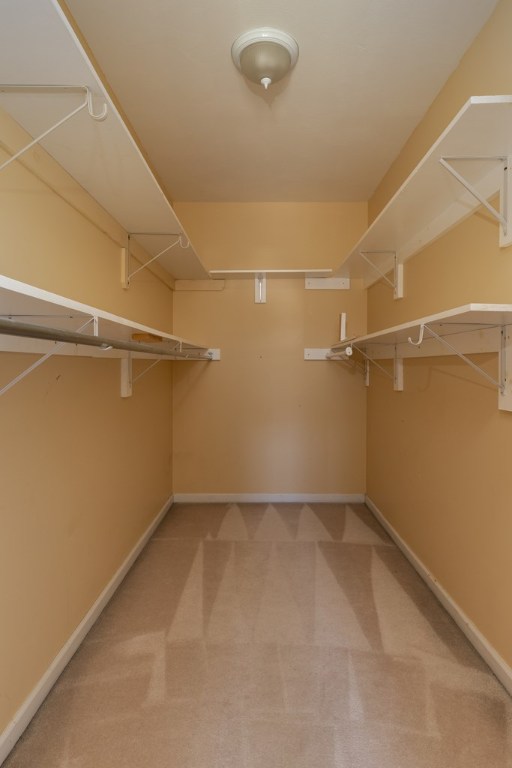 walk in closet featuring carpet floors