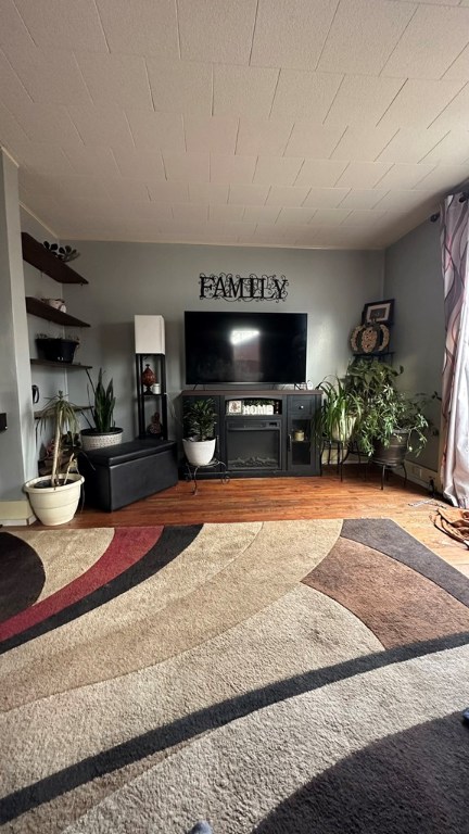 living room with hardwood / wood-style floors