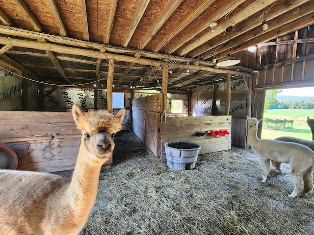 view of stable