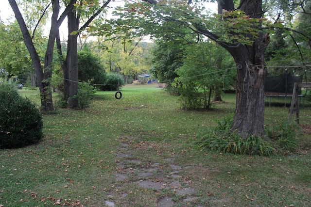 view of yard with a trampoline