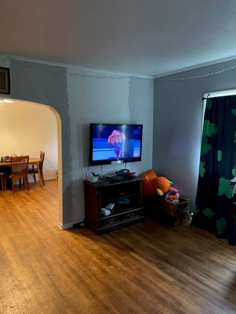 living room with hardwood / wood-style flooring and ornamental molding