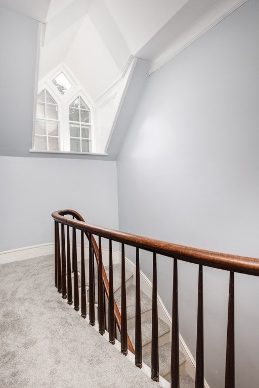 stairs featuring carpet and lofted ceiling