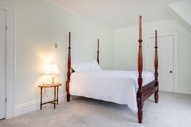 bedroom with carpet floors