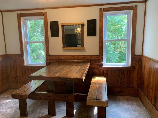 unfurnished dining area featuring plenty of natural light and wood walls