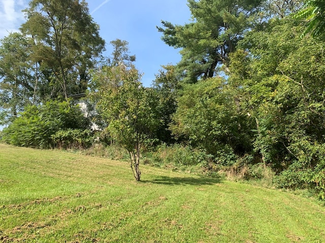 view of landscape