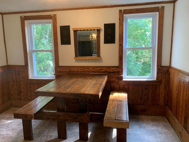 unfurnished dining area featuring a healthy amount of sunlight and wood walls