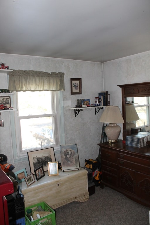 carpeted bedroom with multiple windows